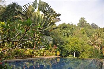 Tiger Rock Hotel Pangkor Island Buitenkant foto
